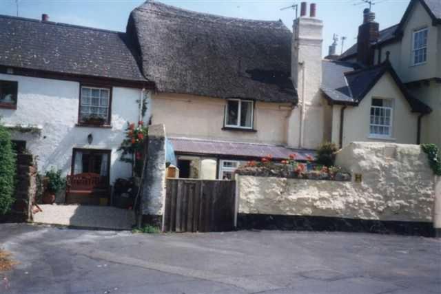 Vakantiehuis Dolphin 50m From Beach! Shaldon